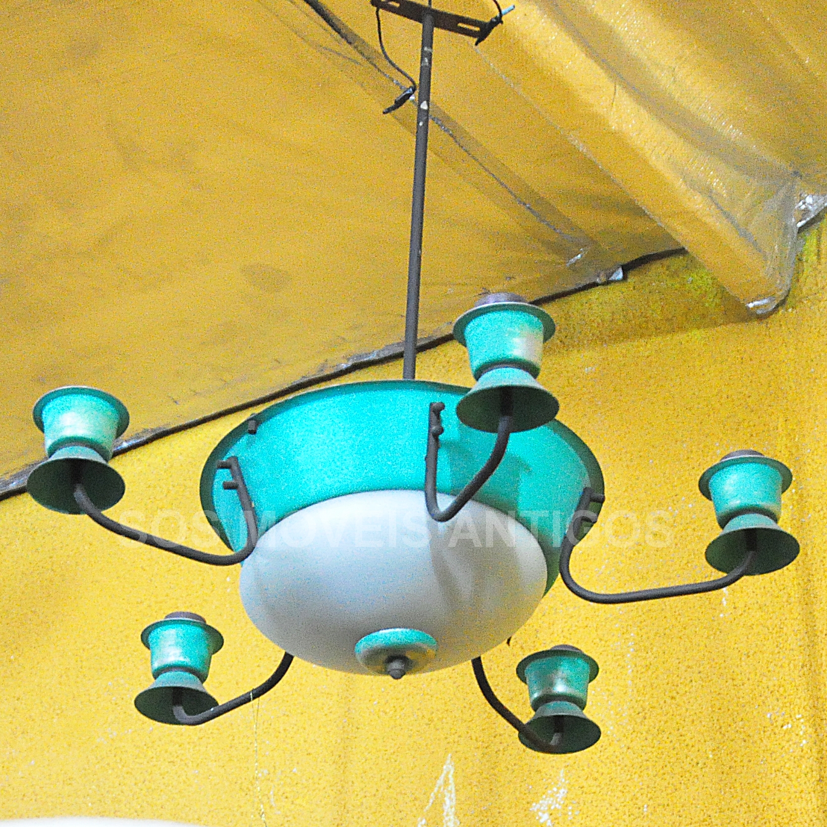 DSC_1110-3.jpg